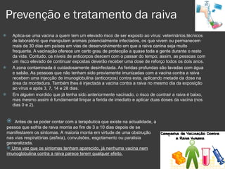 Prevenção e tratamento da raiva Aplica-se uma vacina a quem tem um elevado risco de ser exposto ao vírus: veterinários,técnicos de laboratório que manipulam animais potencialmente infectados, os que vivem ou permanecem mais de 30 dias em países em vias de desenvolvimento em que a raiva canina seja muito frequente. A vacinação oferece um certo grau de protecção a quase toda a gente durante o resto da vida. Contudo, os níveis de anticorpos descem com o passar do tempo; assim, as pessoas com um risco elevado de continuar expostas deverão receber uma dose de reforço todos os dois anos. A zona contaminada é cuidadosamente desinfectada. As feridas profundas são lavadas com água e sabão. As pessoas que não tenham sido previamente imunizadas com a vacina contra a raiva recebem uma injecção de imunoglobulina (anticorpos) contra esta, aplicando metade da dose na área da mordedura. Também lhes é injectada a vacina contra a raiva no mesmo dia da exposição ao vírus e após 3, 7, 14 e 28 dias.  Em alguém mordido que já tenha sido anteriormente vacinado, o risco de contrair a raiva é baixo, mas mesmo assim é fundamental limpar a ferida de imediato e aplicar duas doses da vacina (nos dias 0 e 2). Antes de se poder contar com a terapêutica que existe na actualidade, a pessoa que sofria de raiva morria ao fim de 3 a 10 dias depois de se manifestarem os sintomas. A maioria morria em virtude de uma obstrução nas vias respiratórias (asfixia), convulsões, esgotamento ou paralisia generalizada.  Uma vez que os sintomas tenham aparecido, já nenhuma vacina nem imunoglobulina contra a raiva parece terem qualquer efeito. 