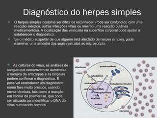 Diagnóstico do herpes simples O herpes simples costuma ser difícil de reconhecer. Pode ser confundido com uma reacção alérgica, outras infecções virais ou mesmo uma reacção cutânea medicamentosa. A localização das vesículas na superfície corporal pode ajudar a estabelecer o diagnóstico. Se o médico suspeitar de que alguém está afectado de herpes simples, pode examinar uma amostra das suas vesículas ao microscópio.  As culturas do vírus, as análises de sangue que comprovem se aumentou o número de anticorpos e as biópsias podem confirmar o diagnóstico. É possível estabelecer um diagnóstico numa fase muito precoce, usando novas técnicas, tais como a reacção em cadeia da polimerase, que pode ser utilizada para identificar o DNA do vírus num tecido corporal. 