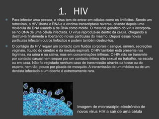 HIV Para infectar uma pessoa, o vírus tem de entrar em células como os linfócitos. Sendo um retrovírus, o HIV liberta o RNA e a enzima transcriptase reversa, criando depois uma molécula de DNA usando a de RNA como molde. O material genético do vírus incorpora-se no DNA de uma célula infectada. O vírus reproduz-se dentro da célula, chegando a destruí-la finalmente e libertando novas partículas do mesmo. Depois essas novas partículas infectam outros linfócitos e podem também destruí-los.  O contágio do HIV requer um contacto com fluidos corporais ( sangue, sémen, secreções vaginais, líquido do cérebro e da medula espinal). O HIV também está presente nas lágrimas, na urina e na saliva, mas em concentrações ínfimas. O HIV não se transmite por contacto casual nem sequer por um contacto íntimo não sexual no trabalho, na escola ou em casa. Não foi registado nenhum caso de transmissão através da tosse ou do espirro, nem tão, pouco por picada de mosquito. A transmissão de um médico ou de um dentista infectado a um doente é extremamente rara. Imagem de microscópio electrónico de novos vírus HIV a sair de uma célula   