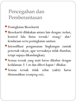Pencegahan dan
Pemberantasan
Peningkatan Biosekuriti
Biosekuriti dilakukan antara lain dengan: isolasi,
kontrol lalu lintas ternak/ orang/ alat/
kendaraan serta peningkatan sanitasi.
Intensifikasi pengamanan lingkungan (untuk
peternak rakyat, agar terrnaknya tidak diumbar,
tetapi supaya dikandangkan).
Semua ternak yang mati harus dikubur dengan
kedalaman ± 1 m dan diberi kapur/ dibakar.
Semua ternak tidak sehat (sakit) harus
dimusnahkan (stamping out).
 