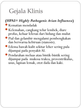 Gejala Klinis
(HPAI= Highly Pathogenic Avian Influenza)
Kematian mendadak
Kelemahan, cangkang telur lembek, diare
profus, keluar leleran dari hidung dan mulut
Pial dan gelambir mengalami pembengkakan
dan berwarna kebiruan (sianosis).
Edema bawah kulit sekitar leher sering pula
dijumpai pada penyakit AI.
Pendarahan meluas atau bintik-bintik sering
dijumpai pada mukosa trakea, proventrikulus,
usus, lapisan lemak, otot dada dan kaki.
 
