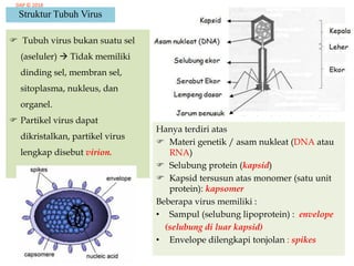 Virus | PPSX