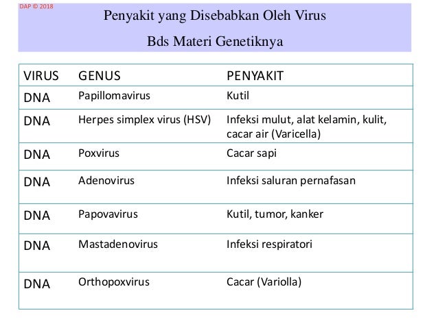 Virus