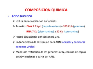 COMPOSICION QUIMICA
• ACIDO NUCLEICO
⮚ Utiliza para clasificación en familias
⮚ Tamaño: DNA 3.2 Kpb (hepadnavairus) a 375 Kpb (poxvirus)
RNA 7 Kb (picornavirus) a 30 Kb (coronavirus)
⮚ Puede caracterizar por contenido G+C
⮚ Endonucleasas de restricción para ADN (analizar y comparar
genomas virales)
⮚ Mapas de restricción de los genomas ARN, con uso de copias
de ADN coclanas a partir del ARN.
 