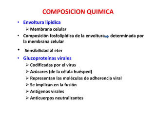 COMPOSICION QUIMICA
• Envoltura lipídica
⮚ Membrana celular
• Composición fosfolipídica de la envoltura determinada por
la membrana celular
• Sensibilidad al eter
• Glucoproteínas virales
⮚ Codificadas por el virus
⮚ Azúcares (de la célula huésped)
⮚ Representan las moléculas de adherencia viral
⮚ Se implican en la fusión
⮚ Antígenos virales
⮚ Anticuerpos neutralizantes
 