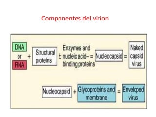 Componentes del virion
 