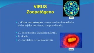 VIRUS GENERALIDADES.pdfhhhhyyyyyyyyyyyhhh | PDF