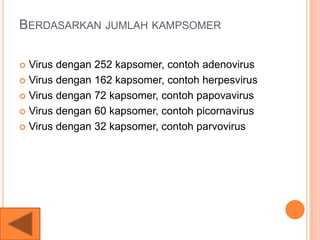 BERDASARKAN JUMLAH KAMPSOMER
 Virus dengan 252 kapsomer, contoh adenovirus
 Virus dengan 162 kapsomer, contoh herpesvirus
 Virus dengan 72 kapsomer, contoh papovavirus
 Virus dengan 60 kapsomer, contoh picornavirus
 Virus dengan 32 kapsomer, contoh parvovirus
 