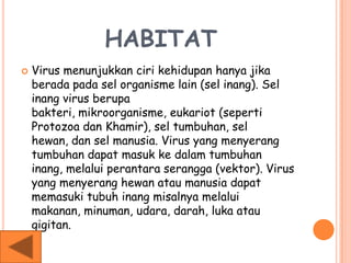 HABITAT
 Virus menunjukkan ciri kehidupan hanya jika
berada pada sel organisme lain (sel inang). Sel
inang virus berupa
bakteri, mikroorganisme, eukariot (seperti
Protozoa dan Khamir), sel tumbuhan, sel
hewan, dan sel manusia. Virus yang menyerang
tumbuhan dapat masuk ke dalam tumbuhan
inang, melalui perantara serangga (vektor). Virus
yang menyerang hewan atau manusia dapat
memasuki tubuh inang misalnya melalui
makanan, minuman, udara, darah, luka atau
gigitan.
 