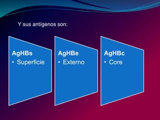 Y sus antígenos son:
AgHBs
• Superficie
AgHBe
• Externo
AgHBc
• Core
 