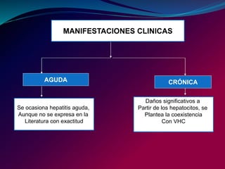 MANIFESTACIONES CLINICAS
AGUDA CRÓNICA
Se ocasiona hepatitis aguda,
Aunque no se expresa en la
Literatura con exactitud
Daños significativos a
Partir de los hepatocitos, se
Plantea la coexistencia
Con VHC
 