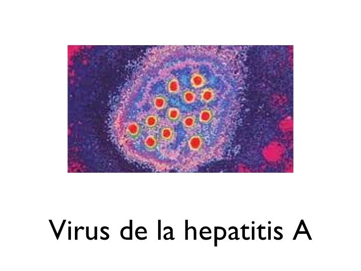Virus Hepatitis A B C D E G