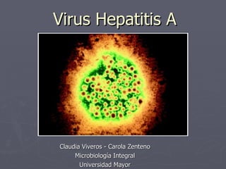 Virus Hepatitis A Claudia Viveros - Carola Zenteno Microbiología Integral Universidad Mayor 