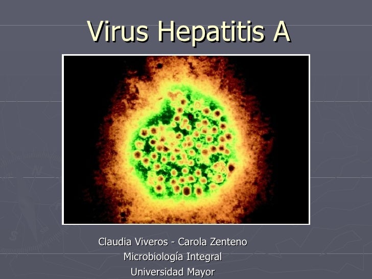 Virus Hepatitis A