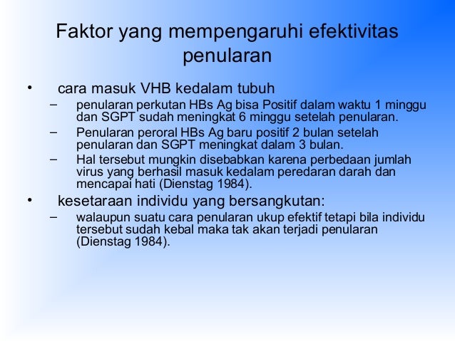 Virus Hepatitis B