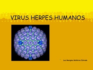 VIRUS HERPES HUMANOS ,[object Object]