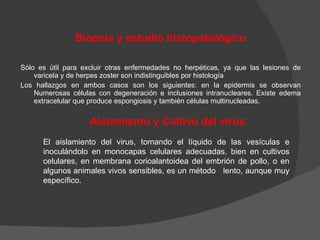 Biopsia y estudio histopatológico Sólo es útil para excluir otras enfermedades no herpéticas, ya que las lesiones de varicela y de herpes zoster son indistinguibles por histología Los hallazgos en ambos casos son los siguientes: en la epidermis se observan Numerosas células con degeneración e inclusiones intranucleares. Existe edema extracelular que produce espongiosis y también células multinucleadas. Aislamiento y Cultivo del virus El aislamiento del virus, tomando el líquido de las vesículas e inoculándolo en monocapas celulares adecuadas, bien en cultivos celulares, en membrana corioalantoidea del embrión de pollo, o en algunos animales vivos sensibles, es un método  lento, aunque muy específico. 