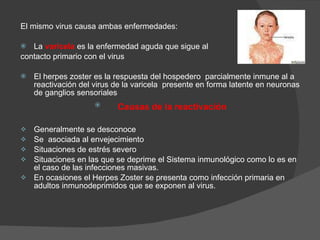 El mismo virus causa ambas enfermedades:  La  varicela   es la enfermedad aguda que sigue al  contacto primario con el virus  El herpes zoster es la respuesta del hospedero  parcialmente inmune al a reactivación del virus de la varicela  presente en forma latente en neuronas de ganglios sensoriales        Causas de la reactivación Generalmente se desconoce Se  asociada al envejecimiento Situaciones de estrés severo  Situaciones en las que se deprime el Sistema inmunológico como lo es en el caso de las infecciones masivas. En ocasiones el Herpes Zoster se presenta como infección primaria en adultos inmunodeprimidos que se exponen al virus. 