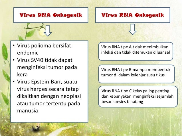 Virus Hewan Dan Tumbuhan