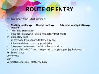 ROUTE OF ENTRY
 Respiratory tract (Most common)
• Multiply locally Blood/Lymph Extensive multiplication
Disease.
• Small pox, chicken pox
• Influenza , Rhinovirus (stay in respiratory tract itself)
 Alimentary tract
• All enveloped viruses are destroyed by bile
• Rhinovirus is inactivated by gastric juice
• Enterovirus, adenovirus, reo virus, hepatitis virus
• Some multiply in GIT and transported to target organs (eg.Poliovirus)
 Genital tract
Conjunctiva
Skin
Vertical transmission –Mother to baby
 