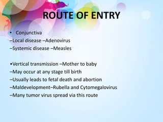 ROUTE OF ENTRY
• Conjunctiva
–Local disease –Adenovirus
–Systemic disease –Measles
•Vertical transmission –Mother to baby
–May occur at any stage till birth
–Usually leads to fetal death and abortion
–Maldevelopment–Rubella and Cytomegalovirus
–Many tumor virus spread via this route
 
