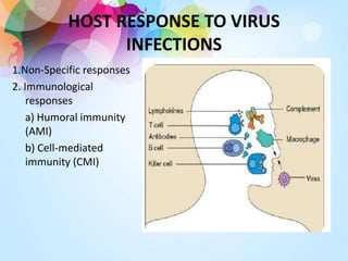 HOST RESPONSE TO VIRUS
INFECTIONS
1.Non-Specific responses
2. Immunological
responses
a) Humoral immunity
(AMI)
b) Cell-mediated
immunity (CMI)
 