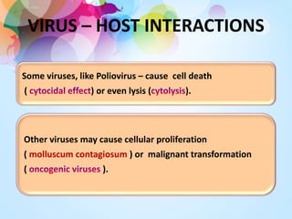 VIRUS – HOST INTERACTIONS
Some viruses, like Poliovirus – cause cell death
( ) or even lysis ( ).
Other viruses may cause cellular proliferation
( molluscum contagiosum ) or malignant transformation
( ).
 
