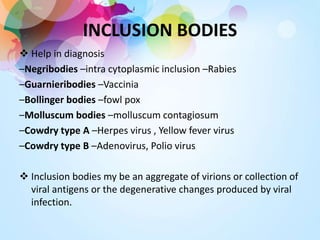 INCLUSION BODIES
 Help in diagnosis
–Negribodies –intra cytoplasmic inclusion –Rabies
–Guarnieribodies –Vaccinia
–Bollinger bodies –fowl pox
–Molluscum bodies –molluscum contagiosum
–Cowdry type A –Herpes virus , Yellow fever virus
–Cowdry type B –Adenovirus, Polio virus
 Inclusion bodies my be an aggregate of virions or collection of
viral antigens or the degenerative changes produced by viral
infection.
 