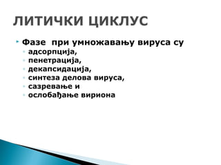  Фазе при умножавању вируса су
◦ адсорпција,
◦ пенетрација,
◦ декапсидација,
◦ синтеза делова вируса,
◦ сазревање и
◦ ослобађање вириона
 