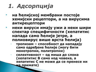  на ћелијској мембрани постоје
хемијски рецептори, а на вирусима
антирецептори
 неки вируси имају ужи а неки шири
спектар специфичности (хепатитис
напада само ћелије јетре, а
полиовирус више врста ћелија)
◦ тропизам – способност да нападају
само одређене ћелије (могу бити
монотропни, политропни)
◦ селективност – од миша до слона
(хепатитис B само код човека, а
хепатитис C не може да се пренесе ни
на примате)
 