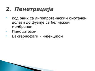  код оних са липопротеинским омотачем
долази до фузије са ћелијском
мембраном
 Пиноцитозом
 Бактериофаги - инјекцијом
 