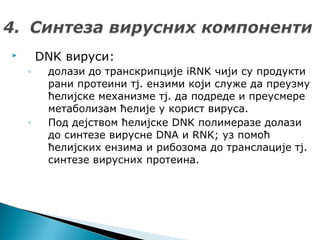  DNK вируси:
◦ долази до транскрипције iRNK чији су продукти
рани протеини тј. ензими који служе да преузму
ћелијске механизме тј. да подреде и преусмере
метаболизам ћелије у корист вируса.
◦ Под дејством ћелијске DNK полимеразе долази
до синтезе вирусне DNA и RNK; уз помоћ
ћелијских ензима и рибозома до транслације тј.
синтезе вирусних протеина.
 
