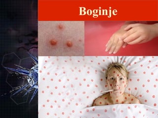 
BoginjeBoginje
Boginje
 