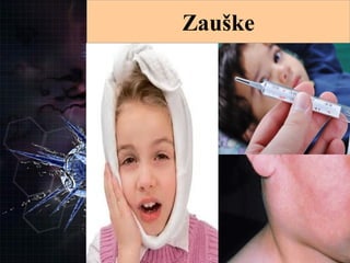 
ZauškeZauške Zauške
 