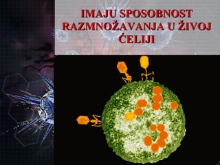 IMAJU SPOSOBNOSTIMAJU SPOSOBNOST
RAZMNOŽAVANJA U ŽIVOJRAZMNOŽAVANJA U ŽIVOJ
ĆELIJIĆELIJI
 
