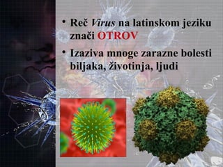
Reč Virus na latinskom jeziku
znači OTROV

Izaziva mnoge zarazne bolesti
biljaka, životinja, ljudi
 