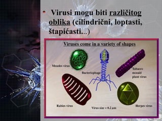 Virusi mogu biti različitog
oblika (cilindrični, loptasti,
štapićasti...)
 