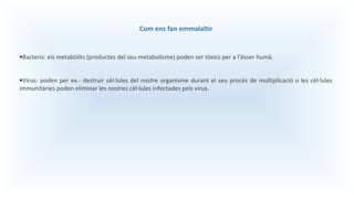 Com ens fan emmalaltir
•Bacteris: els metabòlits (productes del seu metabolisme) poden ser tòxics per a l’ésser humà.
•Virus: poden per ex.- destruir cèl·lules del nostre organisme durant el seu procés de multiplicació o les cèl·lules
immunitàries poden eliminar les nostres cèl·lules infectades pels virus.
 