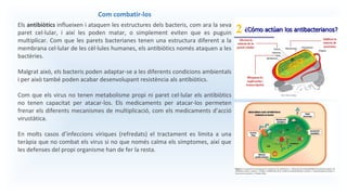 Com combatir-los
Els antibiòtics influeixen i ataquen les estructures dels bacteris, com ara la seva
paret cel·lular, i així les poden matar, o simplement eviten que es puguin
multiplicar. Com que les parets bacterianes tenen una estructura diferent a la
membrana cel·lular de les cèl·lules humanes, els antibiòtics només ataquen a les
bactèries.
Malgrat això, els bacteris poden adaptar-se a les diferents condicions ambientals
i per això també poden acabar desenvolupant resistència als antibiòtics.
Com que els virus no tenen metabolisme propi ni paret cel·lular els antibiòtics
no tenen capacitat per atacar-los. Els medicaments per atacar-los permeten
frenar els diferents mecanismes de multiplicació, com els medicaments d’acció
virustàtica.
En molts casos d’infeccions víriques (refredats) el tractament es limita a una
teràpia que no combat els virus si no que només calma els símptomes, així que
les defenses del propi organisme han de fer la resta.
 