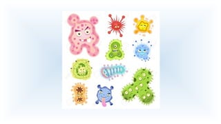 Virus i bacteris