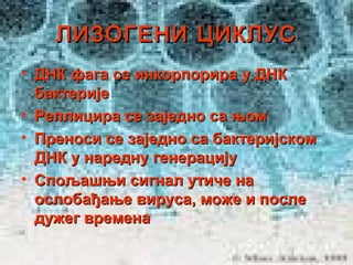 ЛИЗОГЕНИ ЦИКЛУС
• ДНК фага се инкорпорира у ДНК
бактерије
• Реплицира се заједно са њом
• Преноси се заједно са бактеријском
ДНК у наредну генерацију
• Спољашњи сигнал утиче на
ослобађање вируса, може и после
дужег времена

 