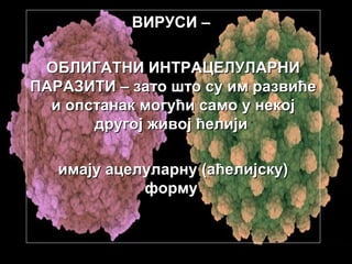 ВИРУСИ –
ОБЛИГАТНИ ИНТРАЦЕЛУЛАРНИ
ПАРАЗИТИ – зато што су им развиће
и опстанак могући само у некој
дpугој живој ћелији
имају ацелуларну (аћелијску)
форму

 