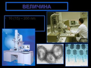 ВЕЛИЧИНА
ВЕЛИЧИНА
• 10 (15) – 200 nm
• 10 (15) – 200 nm

 