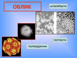 ОБЛИК
ОБЛИК

штапићасти

лоптасти
полиедрични

 
