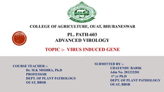 COLLEGE OFAGRICULTURE, OUAT, BHUBANESWAR
PL. PATH-603
ADVANCED VIROLOGY
COURSE TEACHER :-
Dr. M.K MISHRA, Ph.D
PROFESSOR
DEPT. OF PLANT PATHOLOGY
OUAT, BBSR
SUBMITTED BY :-
UDAYENDU BARIK
Adm No. 201232201
1st yr Ph.D
DEPT. OF PLANT PATHOLOGY
OUAT, BBSR
TOPIC :- VIRUS INDUCED GENE
 
