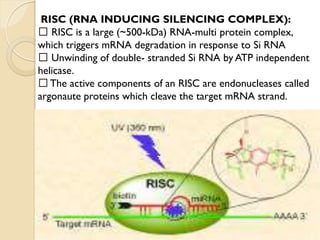 Virus induced gene silencing | PDF