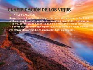 Clasificación de los virus
   VIRUS DE ARCHIVO
Normalmente insertan el código del virus al principio o final del
archivo, manteniendo intacto el programa infectado. Cuando se
ejecuta, el virus pude hacer residente en memoria y luego devuelve
el control al programa original para que se continúe de modo normal.
Infectan archivos y tradicionalmente los tipos ejecutables.
 