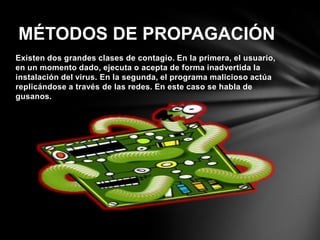 Existen dos grandes clases de contagio. En la primera, el usuario,
en un momento dado, ejecuta o acepta de forma inadvertida la
instalación del virus. En la segunda, el programa malicioso actúa
replicándose a través de las redes. En este caso se habla de
gusanos.
MÉTODOS DE PROPAGACIÓN
 
