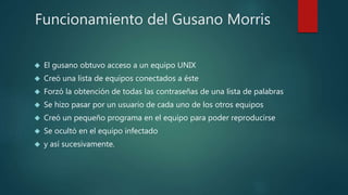 Funcionamiento del Gusano Morris
 El gusano obtuvo acceso a un equipo UNIX
 Creó una lista de equipos conectados a éste
 Forzó la obtención de todas las contraseñas de una lista de palabras
 Se hizo pasar por un usuario de cada uno de los otros equipos
 Creó un pequeño programa en el equipo para poder reproducirse
 Se ocultó en el equipo infectado
 y así sucesivamente.
 