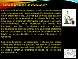 ¿cómo se producen las infecciones?
Los virus informáticos se difunden cuando las instrucciones o 
código ejecutable que hacen funcionar los programas pasan 
de un ordenador a otro. Una vez que un virus está activado, 
puede  reproducirse  copiándose  en  discos  flexibles,  en  el 
disco duro, en programas informáticos legítimos o a través de 
redes informáticas.  Estas  infecciones  son  mucho  más 
frecuentes  en  las  computadoras  que  en  sistemas 
profesionales de grandes ordenadores, porque los programas 
de  las  computadoras  se  intercambian  fundamentalmente  a 
través  de  discos  flexibles  o  de  redes  informáticas  no 
reguladas.
Los  virus  funcionan,  se  reproducen  y  liberan  sus  cargas 
activas  sólo  cuando  se  ejecutan.  Por  eso,  si  un  ordenador 
está simplemente conectado a una red informática infectada o 
se  limita  a  cargar  un  programa  infectado,  no  se  infectará 
necesariamente. 
 